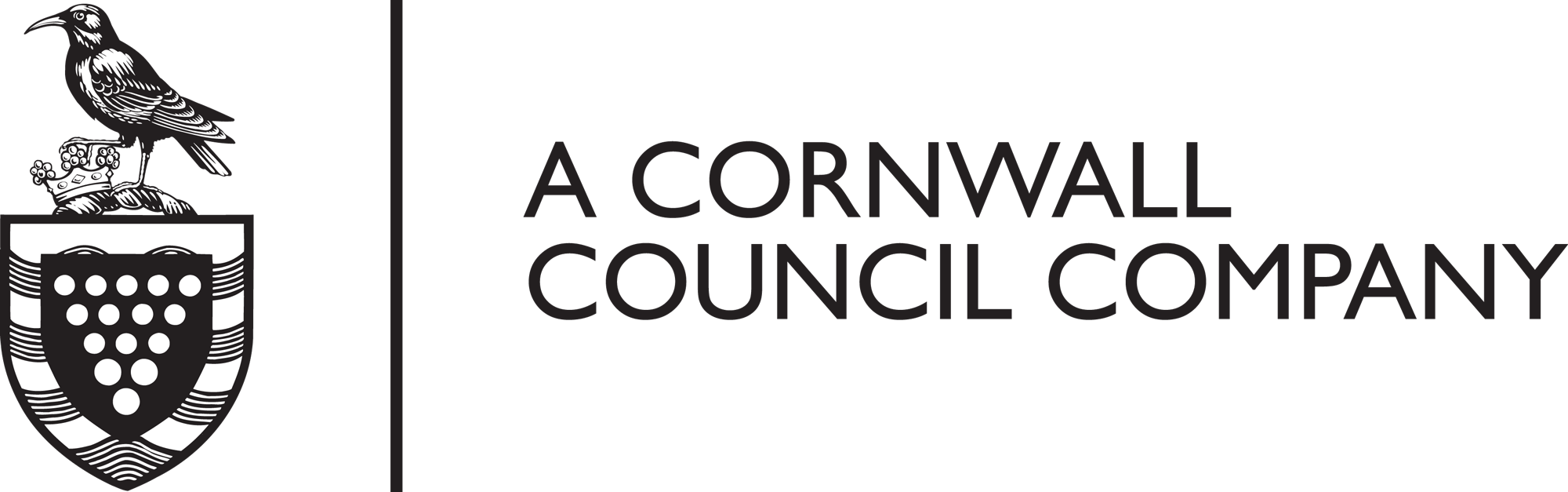Corserv group logo