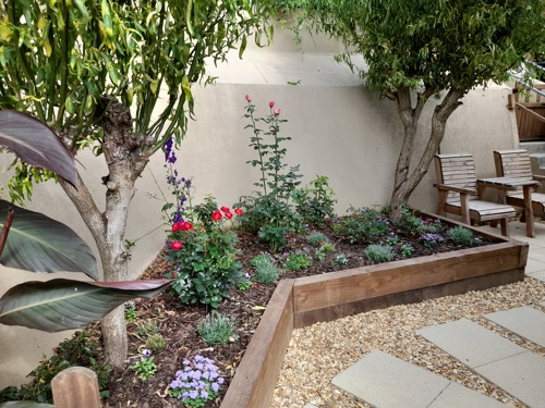 photo of a different perspective of Elaine's garden