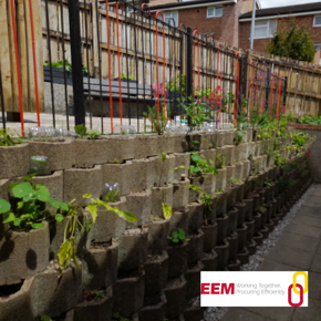 photo of tidy wall of plants grown in plant holders in communal garden