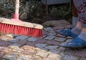 autumn_pest_control