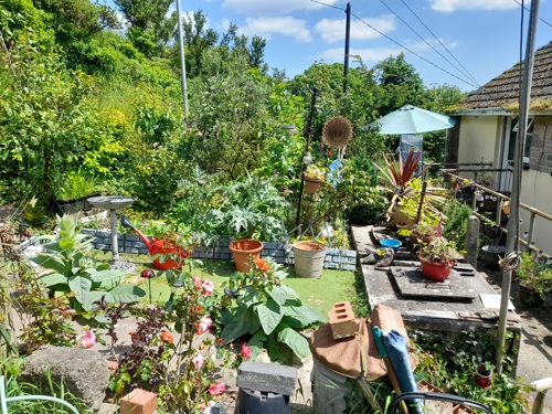 Special recognition awarded for a communal garden with lots of potted plants