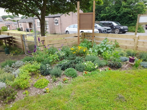 The new garden at Oakland's community centre