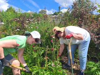 pic of people gardening
