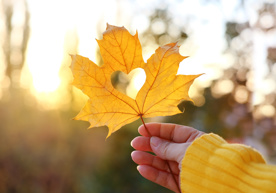 adobestock_439581336