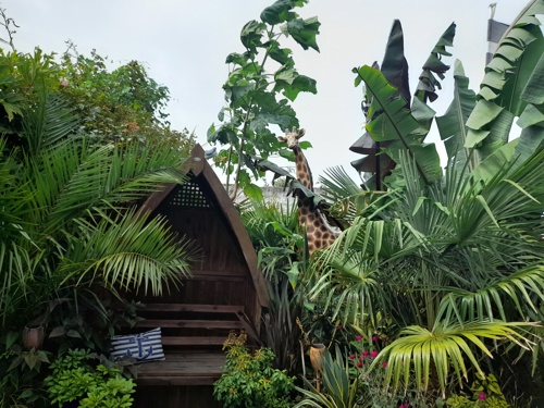 Picture of second place jungle garden