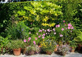 capture-cornish-garden