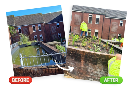 A graphic showing a before and after of the transformation