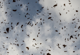 intranet_website_header_banner-14