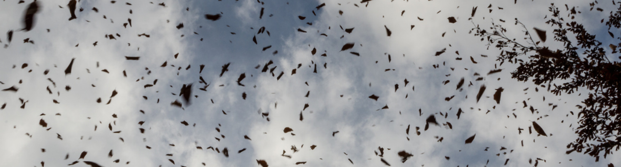 intranet_website_header_banner-14