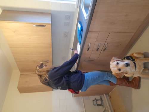 Pollie the fostered Guide Dog puppy looking on during a voids inspection