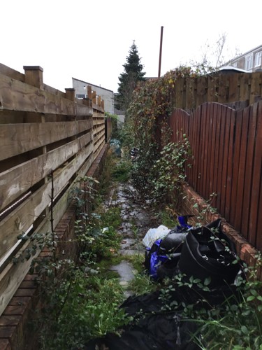 Picture of footpath before Estate Rangers began clearing it