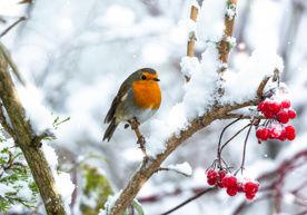adobestock_472363179