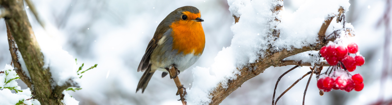 adobestock_472363179